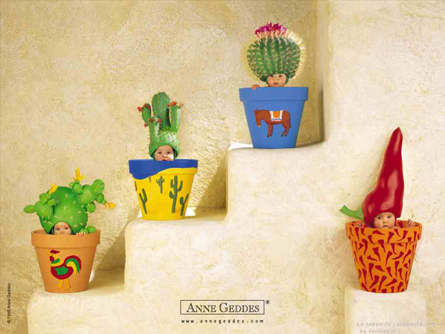 Cactus by Anne Geddes