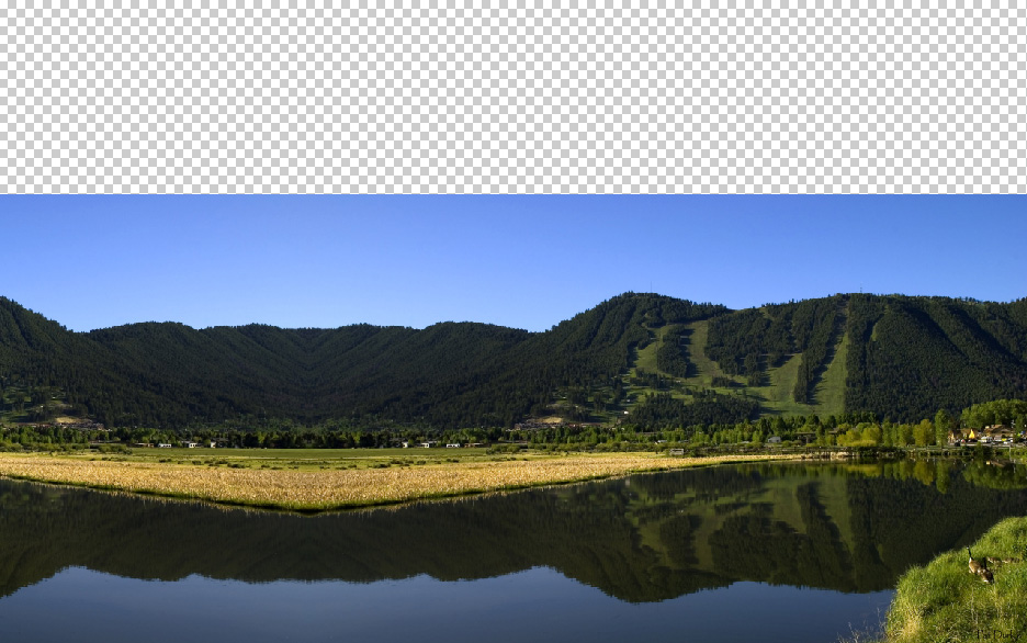 landscape duplicate, flip and merge